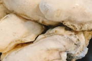 【 画像 】 牡蠣のオイル漬け作るでwwwwwwwwwwwww