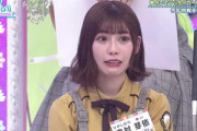 【日向坂46】めいちごさんは学生時代何部やったんや？