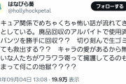 【悲報】ゴミ捨て場からプリキュアの女児服を『救済』と称して回収する特級プリキュアおじさんが出現