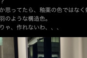 中国が生んだ奇跡の茶碗『曜変天目』3個全て日本ががめていた…早急に返却すべき |  がめるって何語