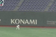【GIF】巨人パーラの守備wwwwww