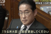 【悲報】野党「うな丼うな丼、更迭更迭」←これ
