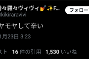 【悲報】ホロライブVtuberさん、アンチの理不尽コメントに泣く「心がモヤモヤして辛い」