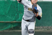 阪神梅野隆太郎、キャンプ序盤から右肩の違和感を抱えていた「今無理するよりも」矢野監督が説明
