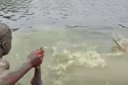 【動画】外国人さん、よくわからん巨大魚を素手で捕まえてしまう・・・