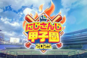 【にじ甲2025】結局新ルールってどんなんやったんや