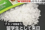 【岸田の宝】“乾燥剤”とすり替え…覚醒剤約1キロ密輸の疑いでグエン容疑者らベトナム国籍の男2人逮捕（6300万円相当）　留学生として来日・密輸グループ指示役として不法残留か
