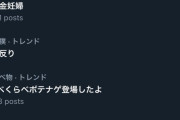 【悲報】ネット界隈、「無課金妊婦」という用語がトレンド入りする。もう終わりだよｗｗｗｗ