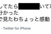 【続報】Twitterで新たな目撃情報『中野で信号待ちしてたら◯◯◯◯がいた。』【乃木坂46】