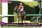 ●有馬記念は丹内騎手を買わないか？