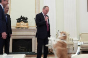 外国人「プーチンは日本が贈った秋田犬を大切にしてるらしい」