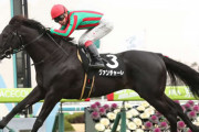 【朗報】グァンチャーレ産駒JRA初勝利
