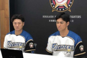 日ハム移籍の木村と佐藤が入団会見　栗山監督「バットをしっかり振れるバッターが欲しかった」
