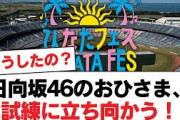 日向坂46のおひさま、試練に立ち向かう！【日向坂・日向坂で会いましょう】