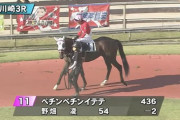 川崎競馬場に「ペチンペチンイテテ」という馬の気持ちを現した名前の競走馬が現れる