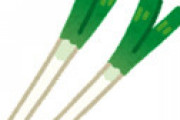 3本99円・・ 豊作すぎて長ネギ農家が悲鳴 「今晩だけで良いから…食べて」