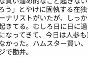 在独ジャーナリスト「ドイツは買い溜め的な事は起こらんぞw」