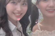 すまん、ウチの「はなもち」は「えばみふ」とやらと十分戦えるよな？