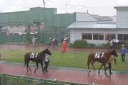浦和競馬　大雨でまた中止に