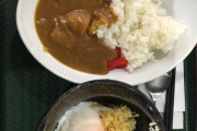 【はなまる】こういうのでいいんだよカレーがこれwwwwwwww（画像あり）