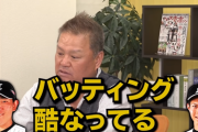 金村義明「ロッテの安田、藤原は可哀相な位フォームがひどくなってる。」