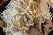 初二郎系食べたけどこれラーメンちゃうやん…