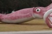 英BBC「日本の田舎町がコロナ対策の交付金で巨大イカ作っててワロタｗ」お前ら「これはイカん」