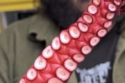【画像】タコ焼き、アメリカで独自進化