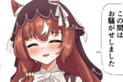 【ウマ娘】スティルのEDはこういうのでいいんだよ。「たづなさんちょっといいんですかこれ」