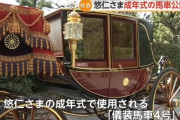 【画像】悠仁さまの愛車がこちら