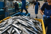 【速報】千葉の銚子漁港でサンマ初水揚げ「1日で過去4年分上回る」、明らかにやりすぎてしまう