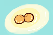 皆さんは目玉焼きにかけるとしたらどれですか？