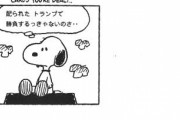 スヌーピー「配られたカードで勝負するしかないのさ」 なんj民「親が悪い、環境が悪い、国が悪い」