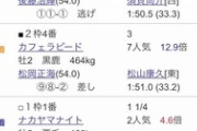 【競馬】クリーンエコロジー産駒が新馬勝ち