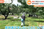 韓国「福島の物は食べてはいかん！」→日本「なんのこれしき！福島産非表示の術！」→韓国「なんと！」