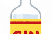 【大至急】ジン＋炭酸水になんか足して美味いのない？？？？？？？