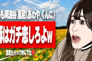 【悲報】たぬかなさん、弱男の脅迫にビビりイベント辞退「身の安全を確保できない」