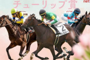 第31回 チューリップ賞 (GⅡ).第19回 オーシャンステークス (GⅢ)