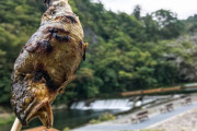 川で取った魚を串にさして焚き火で焼くアレ