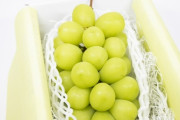 中国、日本の高級シャインマスカットを無断で栽培し600円で売りだす