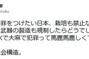高樹沙耶さん「人殺しはOKで大麻が犯罪って馬鹿馬鹿しくてやってられない。絶望的な社会」