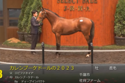 【セレクトセール2024】カレンブーケドールの2023（父エピファネイア）3億1000万円で落札　他