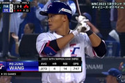 【悲報】WBC台湾代表の王柏融、3打数無安打で代打を送られる　チームは5−12で黒星スタート