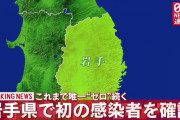 【新型コロナ】岩手県で2人の感染確認 岩手県で初 全都道府県で感染確認