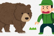 【悲報】秋田県に生息する熊がヤバい・・・
