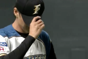 日ハムの浦野ってなんで引退するんや？？？