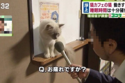 【画像】こういうニュースだけ増えればいい！その内容が話題にｗｗｗｗｗ