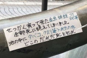 商店街の池の金魚が全滅。怒りの貼り紙に込められた靴店主の思い。。。