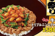 【画像】すき家の新商品「牛丼 トリプルニンニクMIX」税込580円