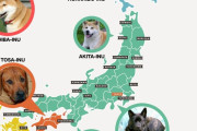 外国人「日本原産の犬がどの辺りで生まれたのか見ていこう」
